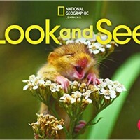 Look and See 1: Student's Book with Online Practice and Student’s eBook