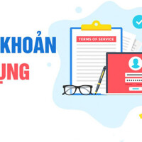 Điều khoản sử dụng